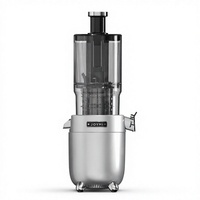 Extracteur de jus lent électrique en acier inoxydable 350 ml pour vente en gros OEM, presse à froid, avec logo personnalisé et marque privée