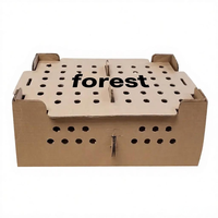 Boîte d'expédition en carton ondulé personnalisée Forest Packing pour le commerce électronique, avec logo sur mesure, en matériaux recyclés, et emballages en carton pour produits vivants