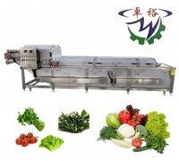 Fruit- en groenteverkookmachine voor frieten, aardappelchips en groenten