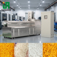 Ligne de production clé en main de riz doré nutritionnel fortifié synthétique par extrusion à vis, machine d'usine de traitement du riz artificiel