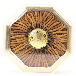 Nấm đông trùng hạ thảo Tây Tạng khô nguyên chất, chất lượng cao - Product Image 5