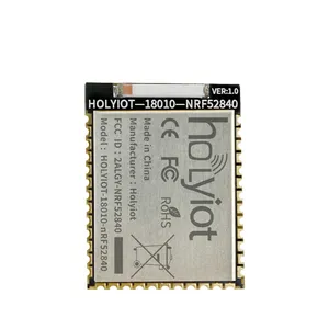 Nrf52840 Ble Module Iot Oplossingen Ble 5.3 Module Bluetooth Zender En Ontvanger Module