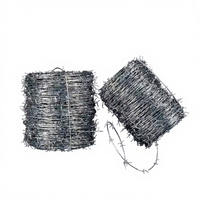 YongWei professionnel galvanisé fil de fer barbelé clôture bobine simple rasoir deux fils torsion longueur personnalisable Anti-escalade isolation