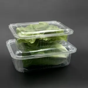 Emballage de laitue boîte alimentaire en plastique à clapet jetable