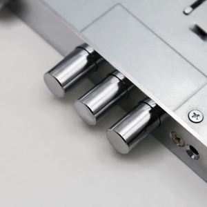 <span class=keywords><strong>Deadbolt</strong></span> hình trụ Euro hồ sơ nội thất cửa Mortise Khóa cơ thể với vòng bu lông chống khoan đa điểm khóa cho cửa gỗ - Product Image 5