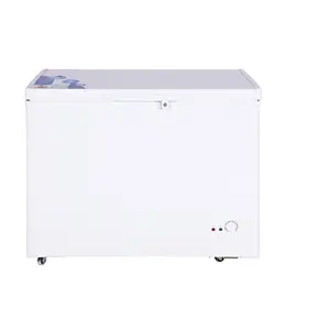 小型深箱冷冻机5立方英尺BD/BC-138Q深冷冻机出售