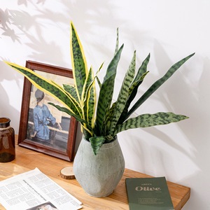 Plante artificielle CallaFloral, plante serpent verte à branche unique en PVC, plante décorative d'intérieur - Product Image 1