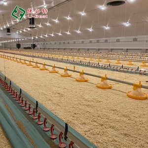 Được Thiết Kế Hoàn Chỉnh Kiểm Soát Gia Cầm Nhà Kho Thép Đúc Sẵn Kết Cấu Gà Nhà Mới Tự Động Trang Trại Xây Dựng Nhà Ở - Product Image 3