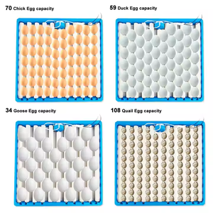 Torneado automático de <span class=keywords><strong>huevos</strong></span> 70-108 rodillo de incubación de <span class=keywords><strong>huevos</strong></span> bandeja herramientas máquina de incubación de aves de corral pollo pato ganso codorniz <span class=keywords><strong>huevos</strong></span> incubadora - Product Image 6
