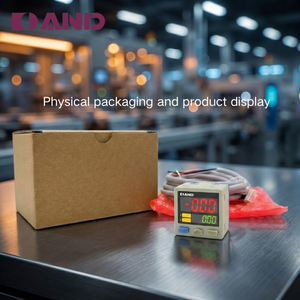 Aierte Digitale Gasdrukmeter ADP5-001-01 RVS Composiet -101~100kPa 1-weg schakelaar Hoge Nauwkeurigheid 1 Jaar Garantie - Product Image 5