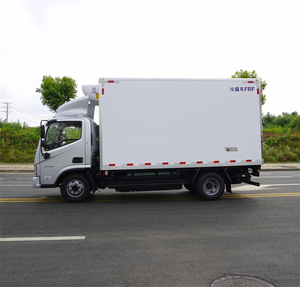 Camión Refrigerado Foton 4X2 CNG de Pequeño Tamaño, la Mejor Opción para la Distribución de Alimentos Congelados - Product Image 3