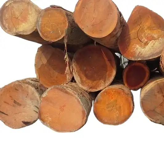Hot Sale African Ebony Hardwood Logs and Lumber
