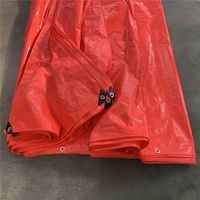 Bâche de haute qualité 120 GSM, largement utilisée, enduite de PE, imperméable, pour couverture de camion et de voiture, feuilles de plastique