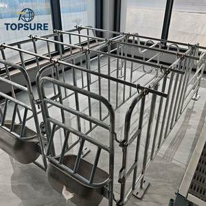 Cage <span class=keywords><strong>de</strong></span> maternité polyvalente <span class=keywords><strong>de</strong></span> haute qualité pour porcelets, <span class=keywords><strong>lit</strong></span> d'accouchement pour porcelets, système d'alimentation automatique pour équipement agricole - Product Image 1