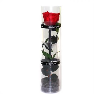 Nouveauté Boîte en PVC Roses Préservées avec Longue Tige Fleurs de roses éternelles simples pour la Saint-Valentin Fête des Mères Mariages de Noël - Product Image 4