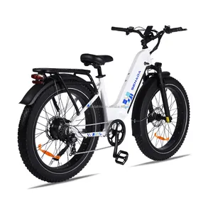 US Warehouse Only Lithium Battery Ebike Electric Ride Import For Sale