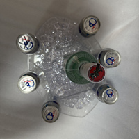 Plateau à vodka en plastique |   Seau de boissons énergisantes |    Bateau