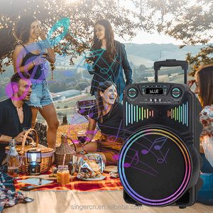 NDR-1211 Hiệu Suất Cao Cho Bluetooth Loa Không Dây Microphone Di Động Xe Đẩy Thiết Kế Cho Ngoài Trời Karaoke Loa Vuông - Product Image 6