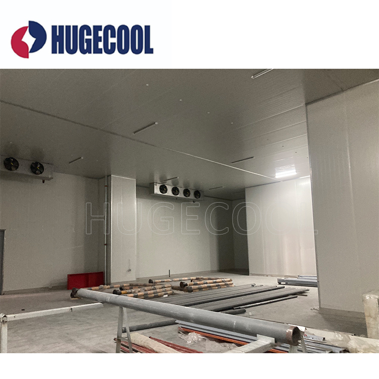 Hugecool OEM Cold Room Walk in