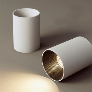 โคมไฟดาวน์ไลท์ติดเพดานอะลูมิเนียมทรงกระบอกแบบใหม่สำหรับตกแต่ง - Product Image 1
