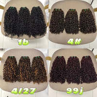 Perruque de Cheveux Humains de Qualité Supérieure, Boucles Pixie P4/350, Double Trame, Pointes Pleines, Cuticules Alignées