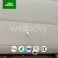 WELLUCKY - Resort de glamping en plein air - Cabane modulaire préfabriquée en aluminium - Maison capsule de type Apple - Pour l'éco-tourisme - Hôtel de luxe