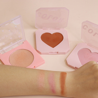 Set Make Up Wajah Wanita, Kit Makeup Kosmetik Label Pribadi Kualitas Tinggi