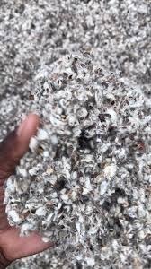 Graines de coton de qualité supérieure pour l'élevage laitier, l'alimentation du bétail et de la volaille, l'extraction d'huile, l'exportation en vrac, l'utilisation dans la chaîne d'approvisionnement agricole - Product Image 4