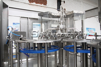 Ensemble complet d'eau potable automatique pour petites entreprises 3 en 1 Machine de remplissage bouchage et d'emballage de bouteilles d'eau minérale pure pour animaux de compagnie