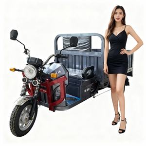 <span class=keywords><strong>Tricycle</strong></span> électrique de livraison urbaine, fabriqué en Chine, avec fonction de déchargement hydraulique, grande capacité de charge, prix bas. - Product Image 5