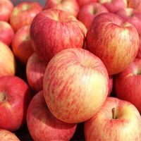Nieuwe verse Fuji-appels, groene appels, rode Chinese vruchten, verse appels