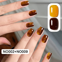 9 couleurs translucide gelée cristal écaille de tortue UV Gel vernis ambre vernis à ongles
