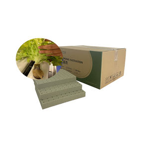 现代小型水培生长立方体蘑菇和大麻种子用高效种子种植 - Product Image 5