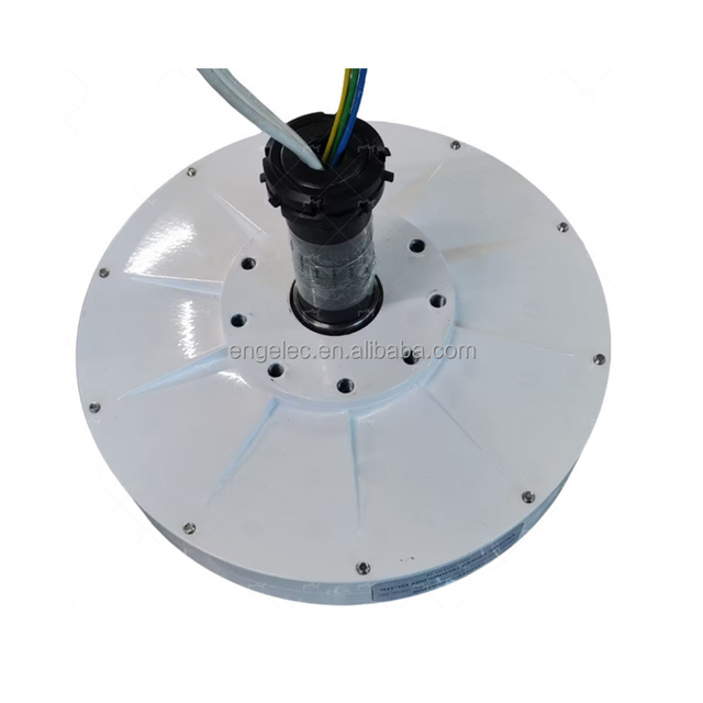 High Quality Disc Alternator 3kw 250rpm Coreless Maglev Generator Wind Turbine PMG Permanent Magnet Wind Power Generator