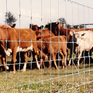 도매 직판 설치 간편 사각 매듭형 30/50/100m 롤당 전기 아연 도금 탄소강 철사 가축 울타리 - Product Image 4