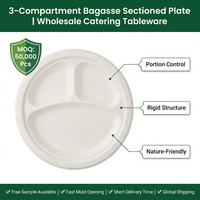 Assiettes jetables écologiques et compostables en bagasse de canne à sucre de 10 pouces pour la restauration, les fêtes et les services alimentaires