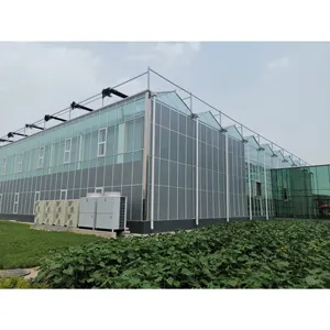 Agricultural Greenhouse Large Multi-span Venlo Glass Flower Vegetables Agricultural Greenhouse For Sale