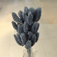Herbe de Phalaris séchée véritable pour arrangements floraux et la fabrication de bouquets de mariage, pour la décoration intérieure et les cérémonies de remise de diplômes