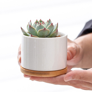 Jardinières de bureau en céramique, <span class=keywords><strong>mini</strong></span> pot pour <span class=keywords><strong>plantes</strong></span> <span class=keywords><strong>succulentes</strong></span> avec plateau en bambou, motif personnalisé, pot à fleurs pour étagère, chambre à coucher - Product Image 3