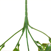 LY-BS80 En Gros Plante Artificielle Décorative Plante Suspendue Feuilles Vertes Paquet Feuilles Décoration Intérieure