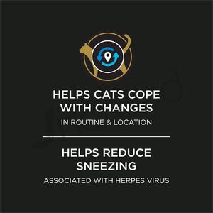 OEM ODM Polvo para mascotas Suplementos veterinarios Cáñamo Cuidado calmante Estrés Ansiedad Alivio Suplementos para gatos - Product Image 3