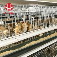 Cage à poulets de chair de type H galvanisée à chaud, 3 niveaux, avec plancher à lattes en plastique, alimentation automatique et élimination du fumier