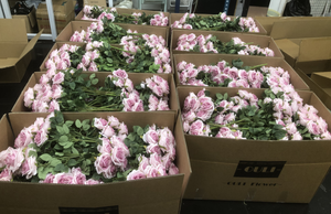 J-12194 Plantes artificielles simulées en usine, fausses petites vignes de roses, bouquets de fleurs artificielles en soie, Saint-Valentin - Product Image 5