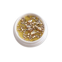 Mini strass en cristal Champagne Snake pour nail art, bijoux, gouttes d'eau, œil de cheval, pour le remplissage et la pose sur ongles