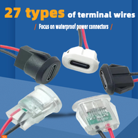 Custom Type-C Charging Dock Cable Flat Buckle Plastic Insulation TP Charging Line Terminal 100cm Length 5V Rated Voltage for