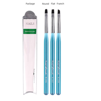 Nouveau produit 3 pièces bleu Nail Art Design brosse sur ongles colle stylo peinture outils acrylique ensemble mode brosse à ongles