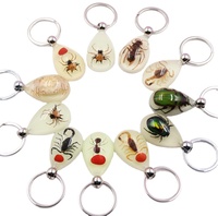 Porte-clés pendentif scorpion en résine avec spécimen d'ambre, lumineux dans le noir, simple, durable, véritable insecte, pour homme, cadeau souvenir