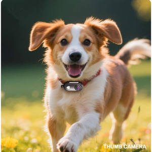 Lonvel Mini Fotocamera Digitale Tascabile 0.96 Pollici Multicolore Ultra Compatta CMOS 1080P 200mAh per <span class=keywords><strong>Viaggi</strong></span> e Vlogging T218 - Product Image 6