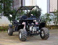 2020 EGS pas cher 125cc/800cc buggy/dune buggy/buggy 4x4 pour adultes passer le certificat CE chaud en vente