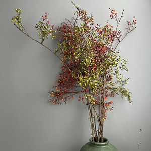Baies de montagne artificielles, fruits de vigne souples et tombants, plante décorative, décorations pour seau porte-bonheur, fleurs artificielles pour la maison - Product Image 3